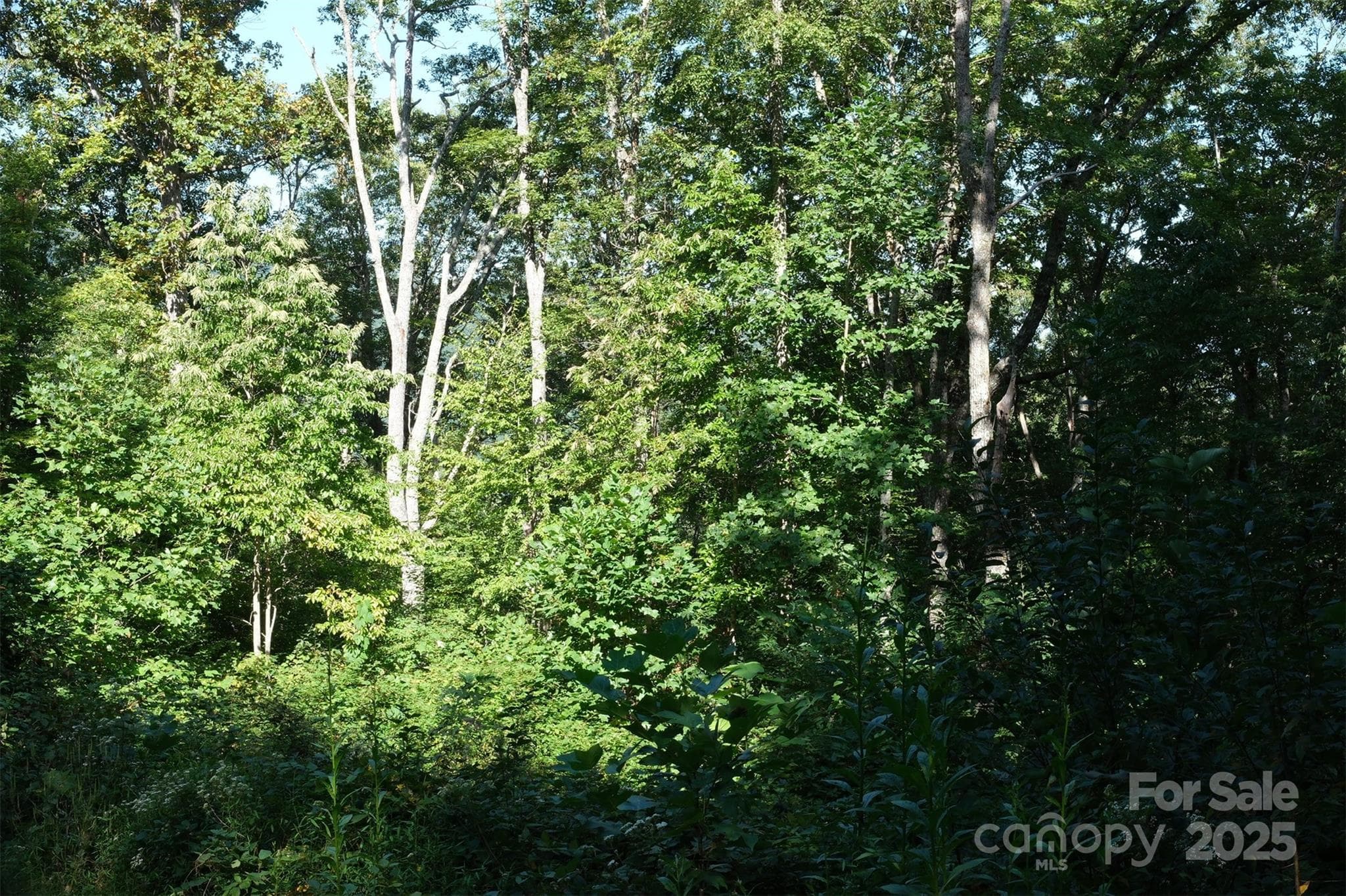 Lot: 12 CAPERTON POINT Road