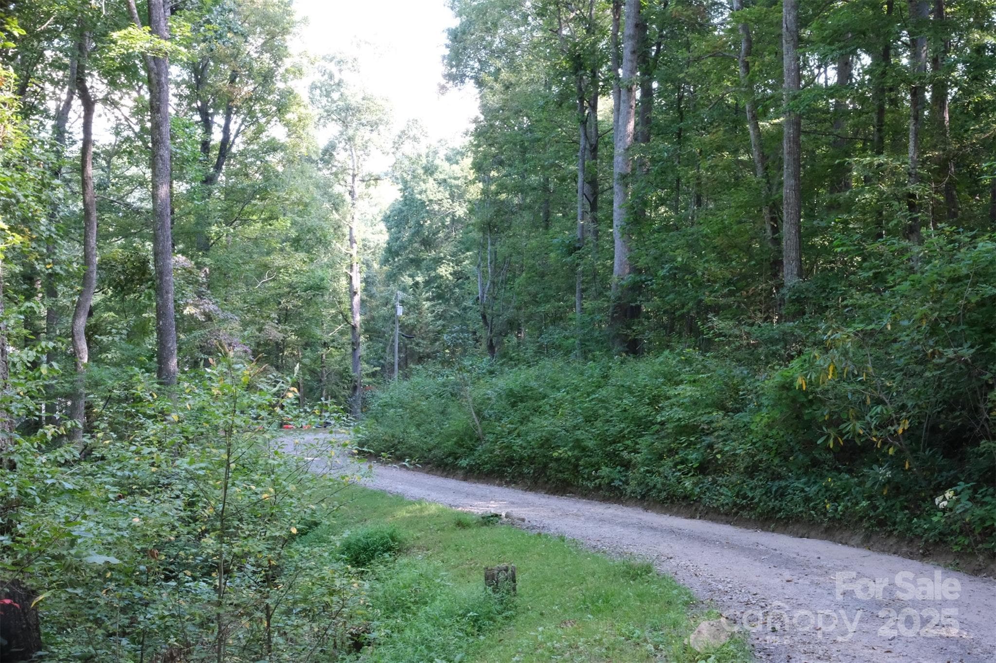 Lot at Lot: 12 CAPERTON POINT Road, Swannanoa, photo 2 of 4