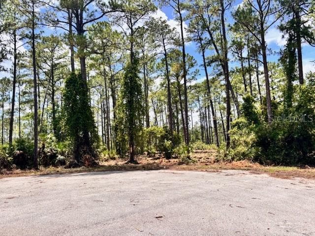 Land at CHINABERRY WAY, EUSTIS, photo 3 of 4