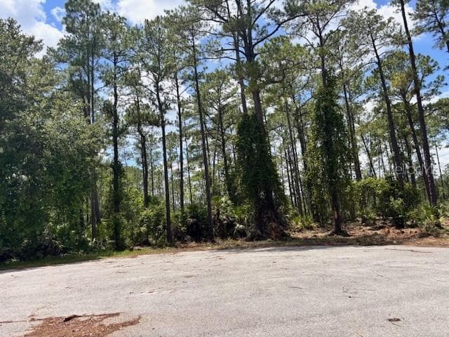 Land at CHINABERRY WAY, EUSTIS, photo 4 of 4