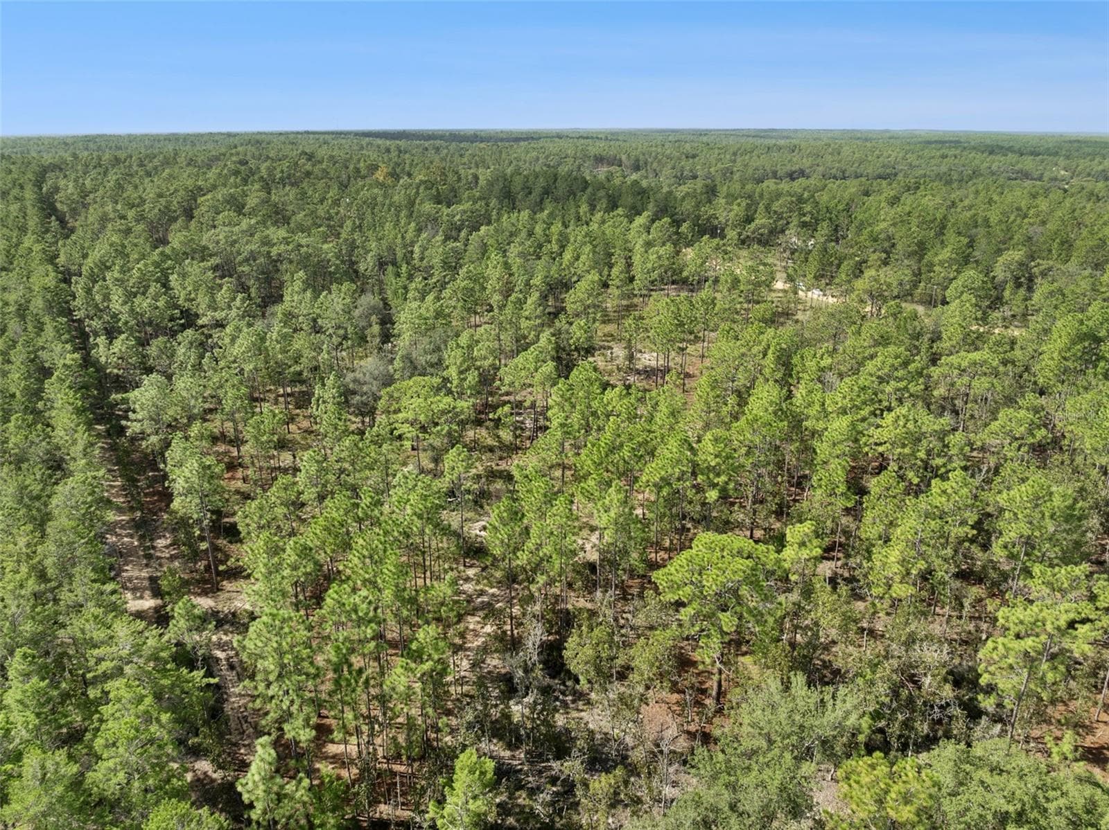 Land at 240 CESSNA WAY, HAWTHORNE, photo 3 of 18