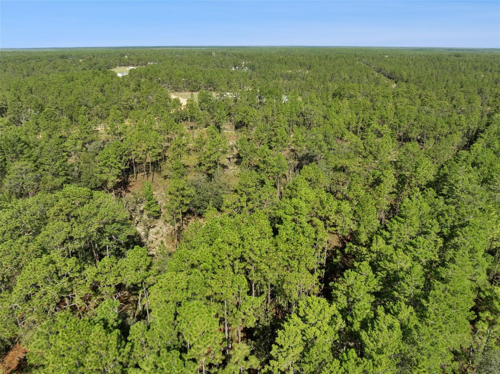 Land at 240 CESSNA WAY, HAWTHORNE, photo 5 of 18