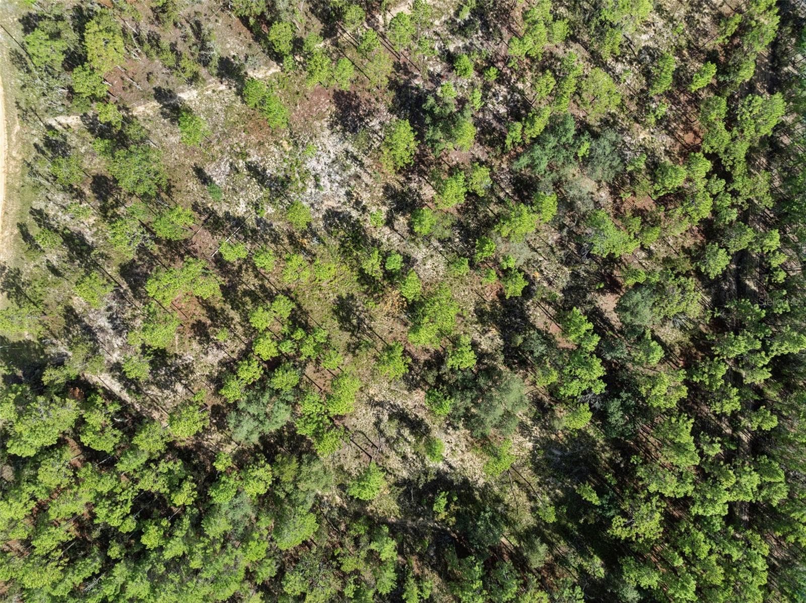 Land at 240 CESSNA WAY, HAWTHORNE, photo 10 of 18