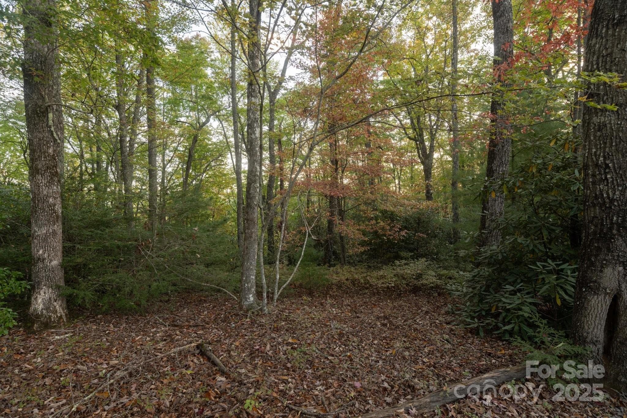 Lot at Brevard, photo 2 of 20
