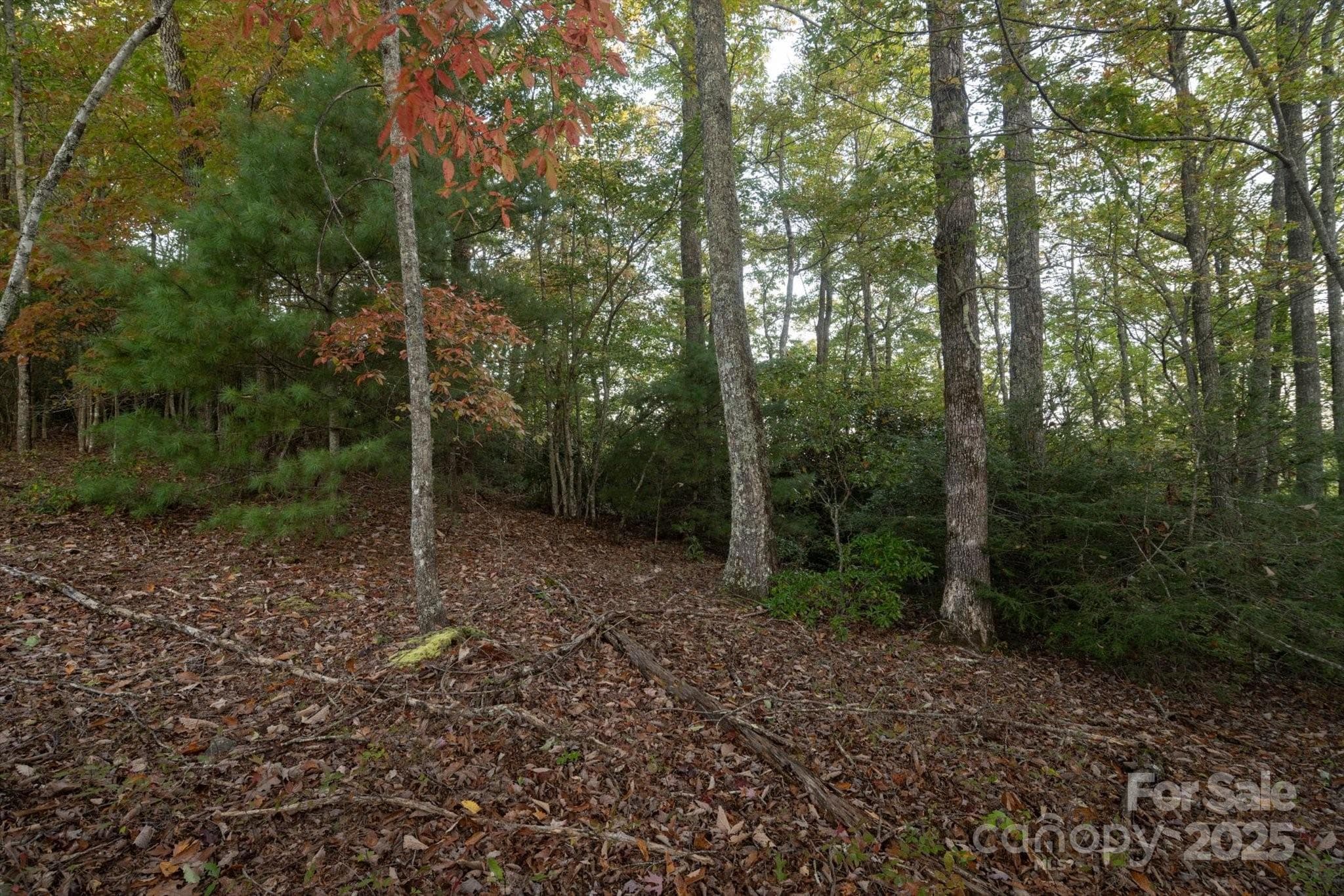 Lot at Brevard, photo 3 of 20