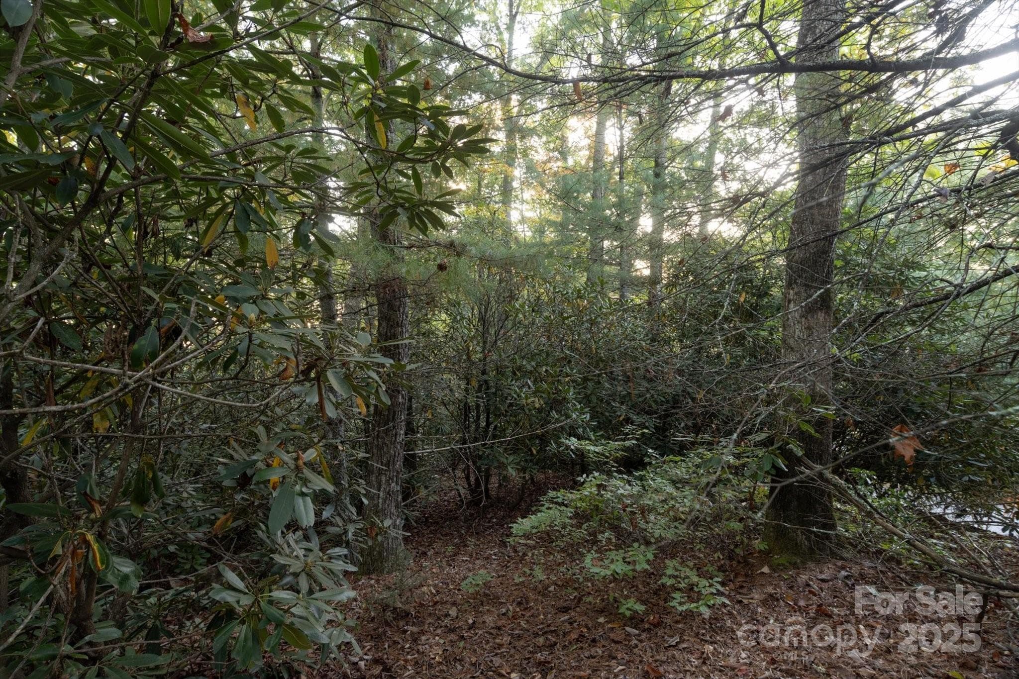 Lot at Brevard, photo 4 of 20