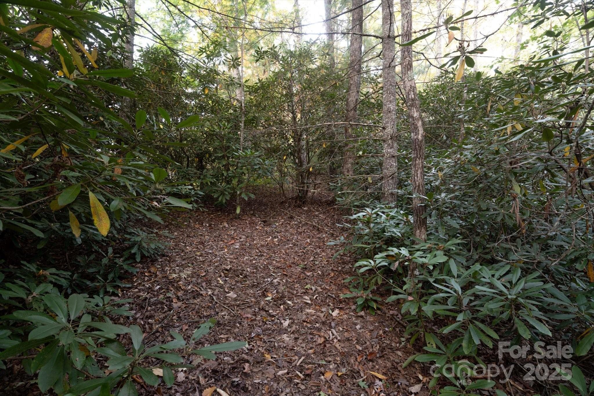 Lot at Brevard, photo 5 of 20