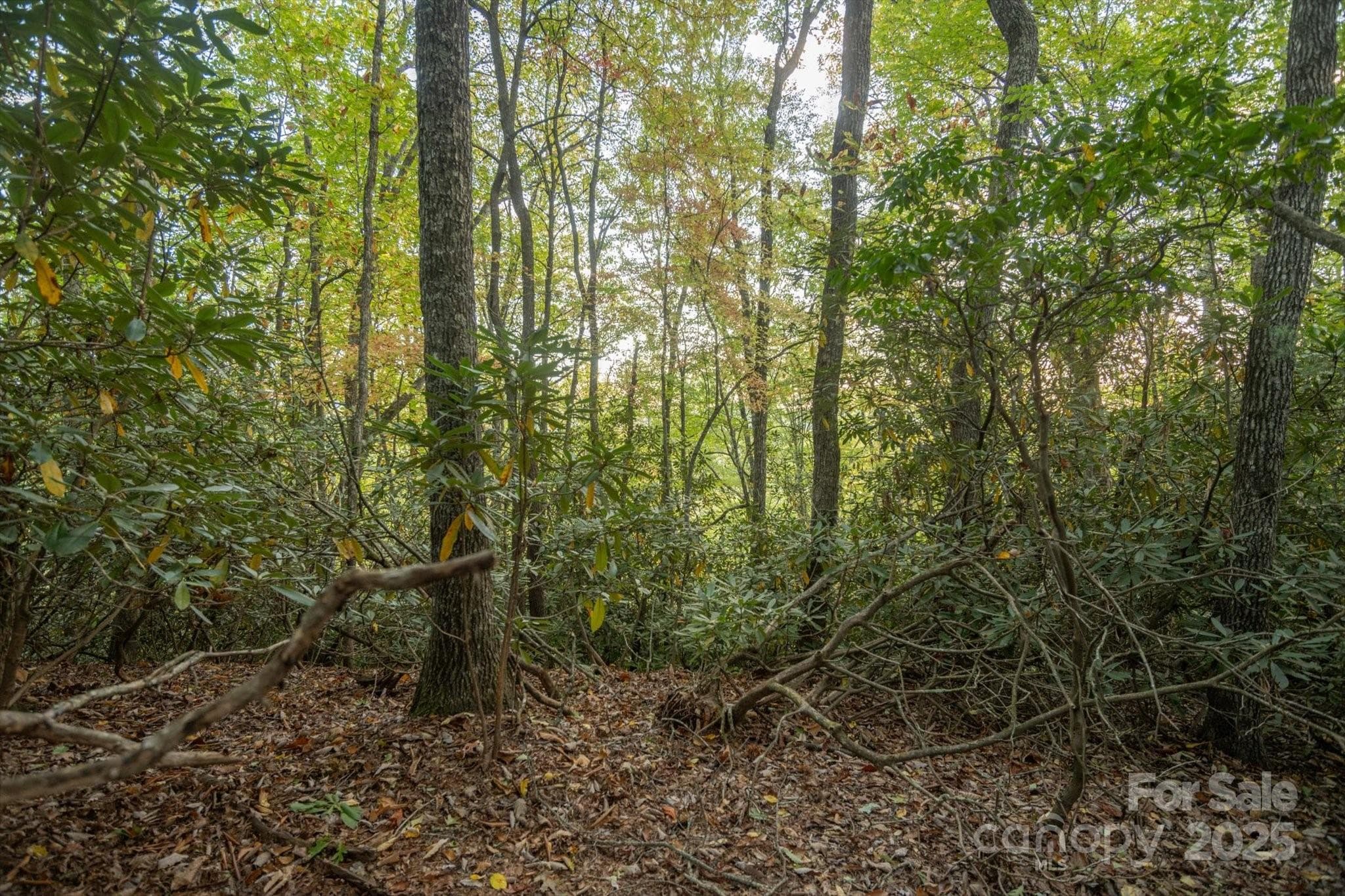 Lot at Brevard, photo 6 of 20