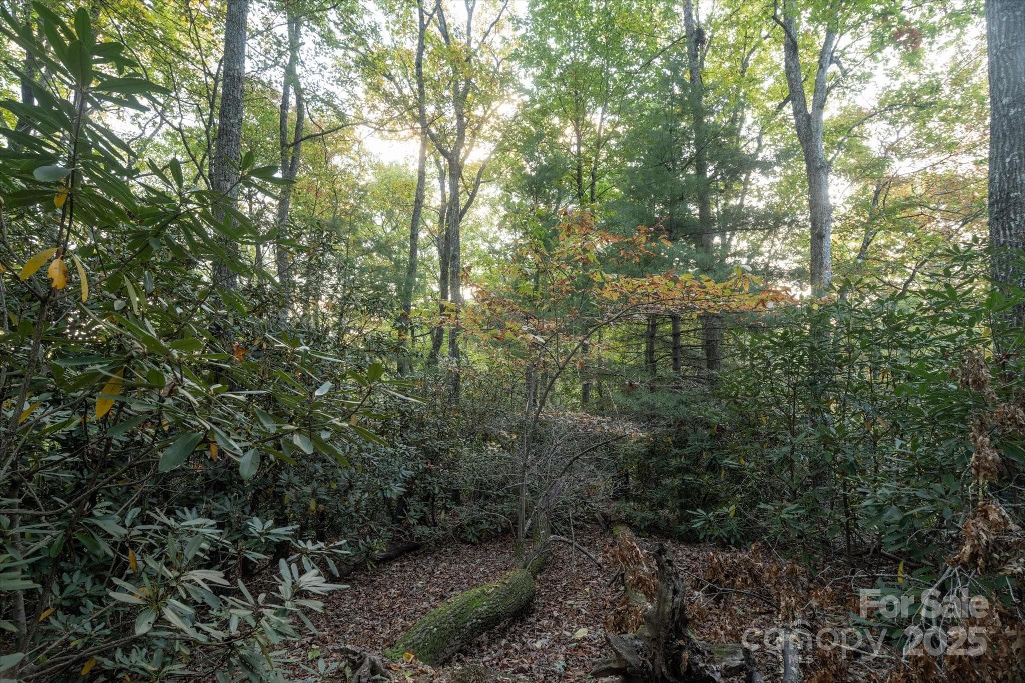 Lot at Brevard, photo 7 of 20