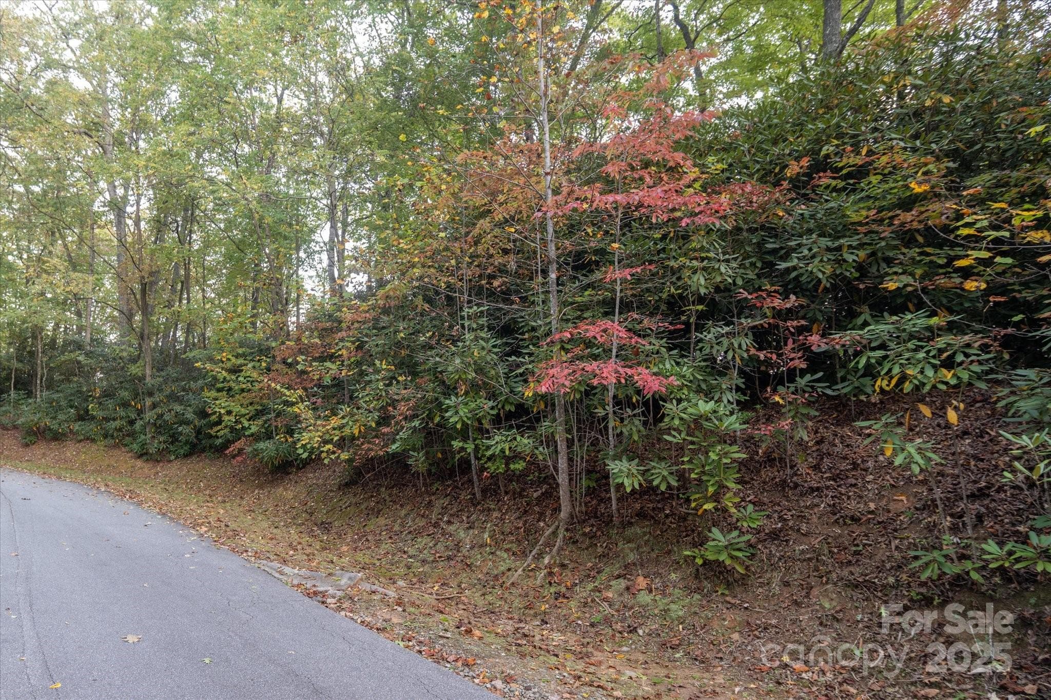 Lot at Brevard, photo 10 of 20