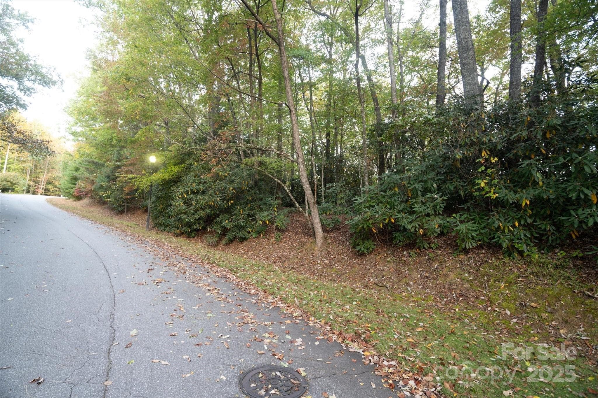Lot at Brevard, photo 11 of 20