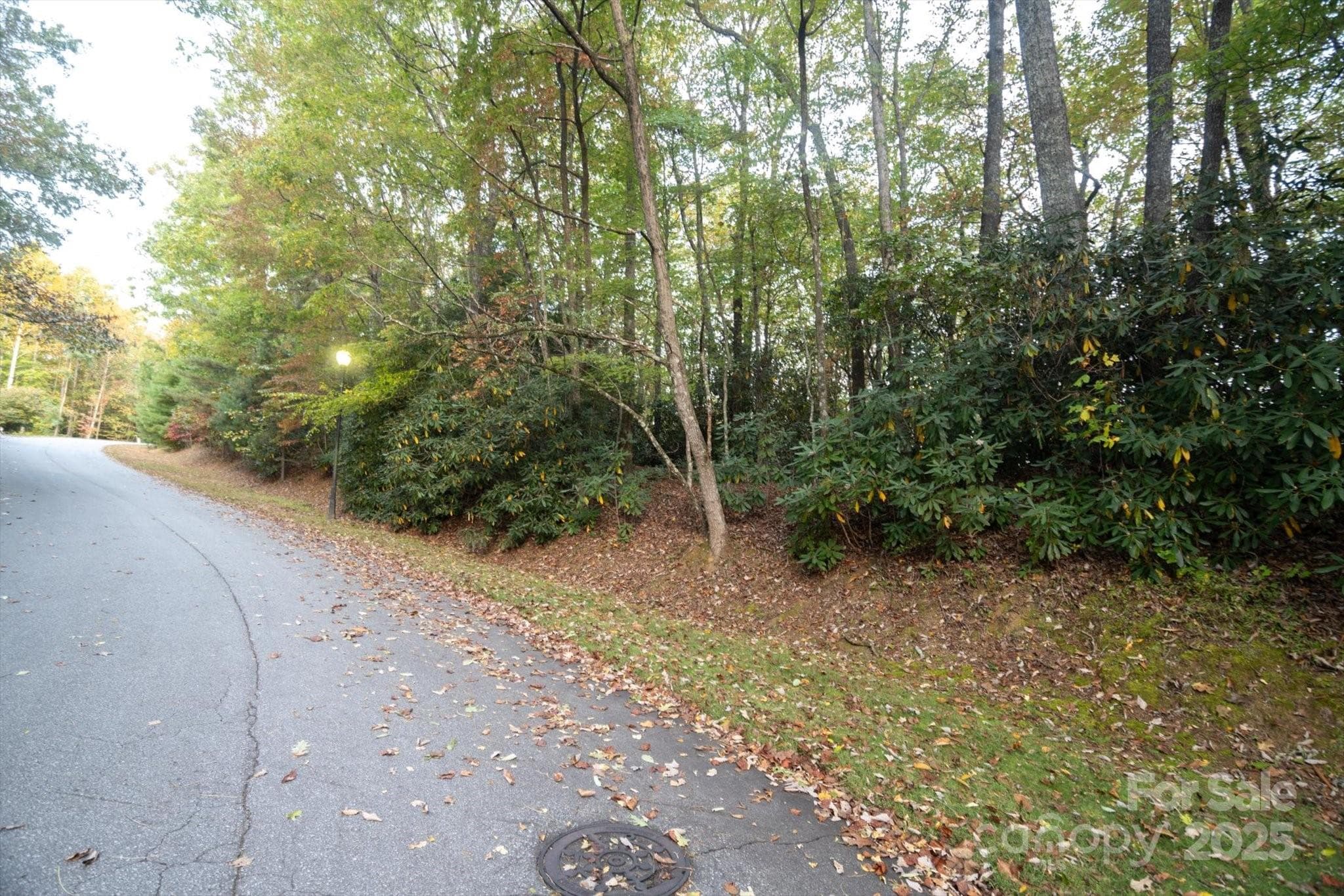 Lot at Brevard, photo 2 of 17