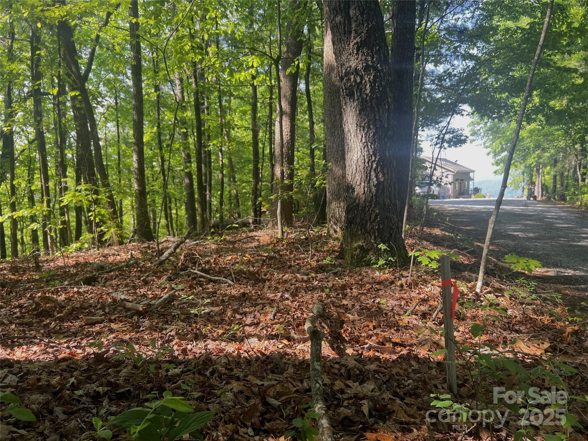 Lot at Brevard, photo 2 of 21