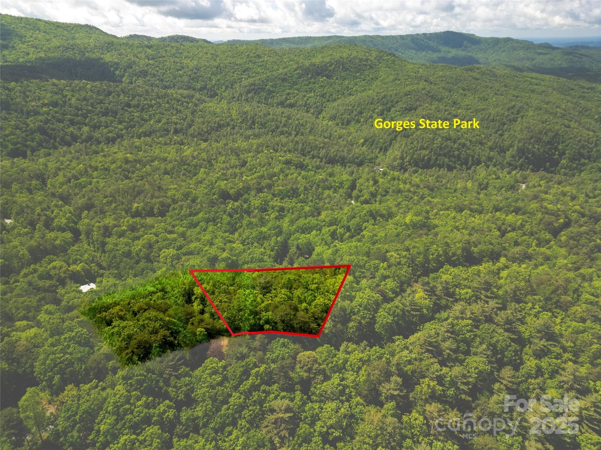 Lot at Brevard, photo 4 of 21