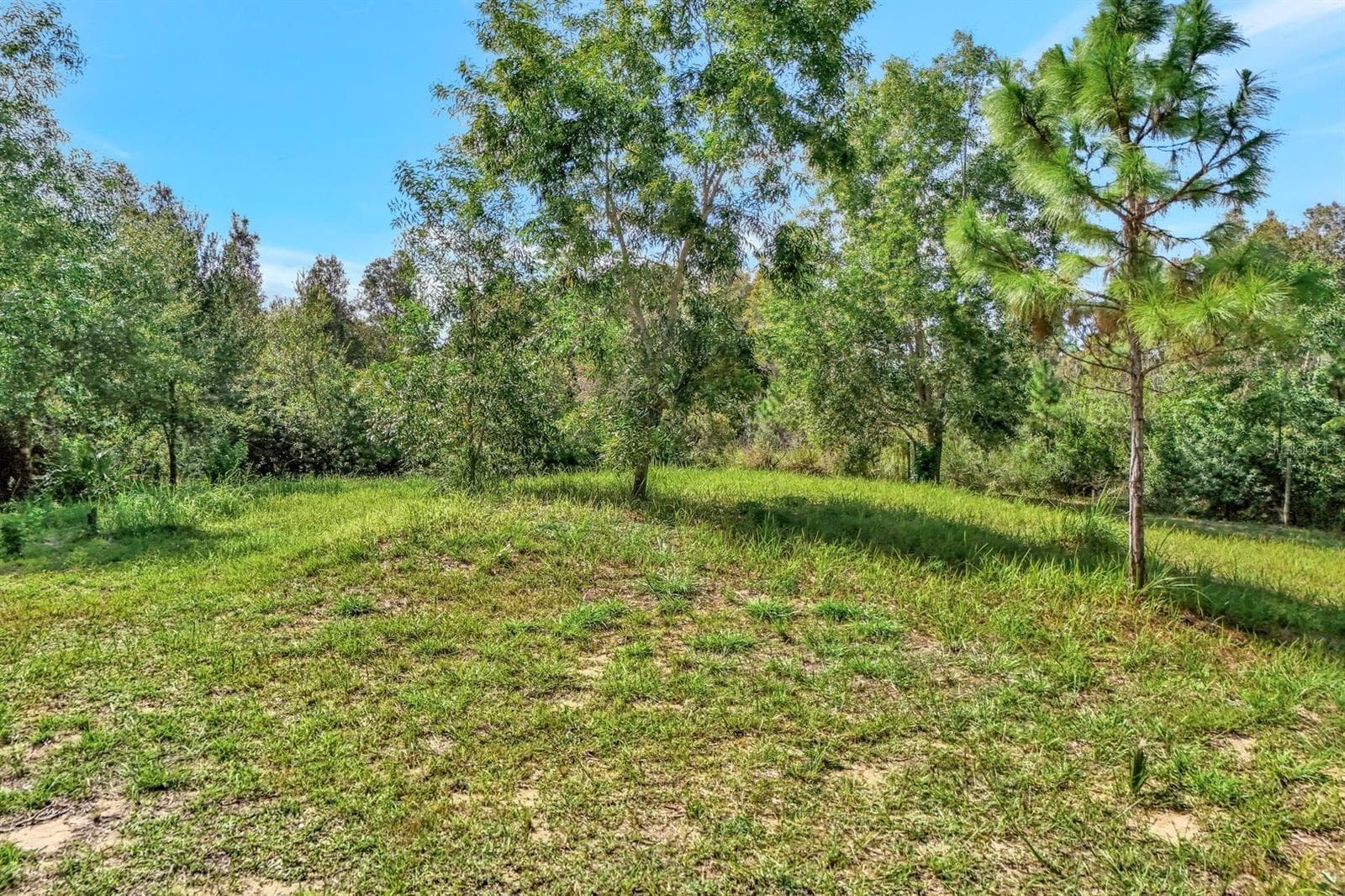 41601 LITTLE FARM RD