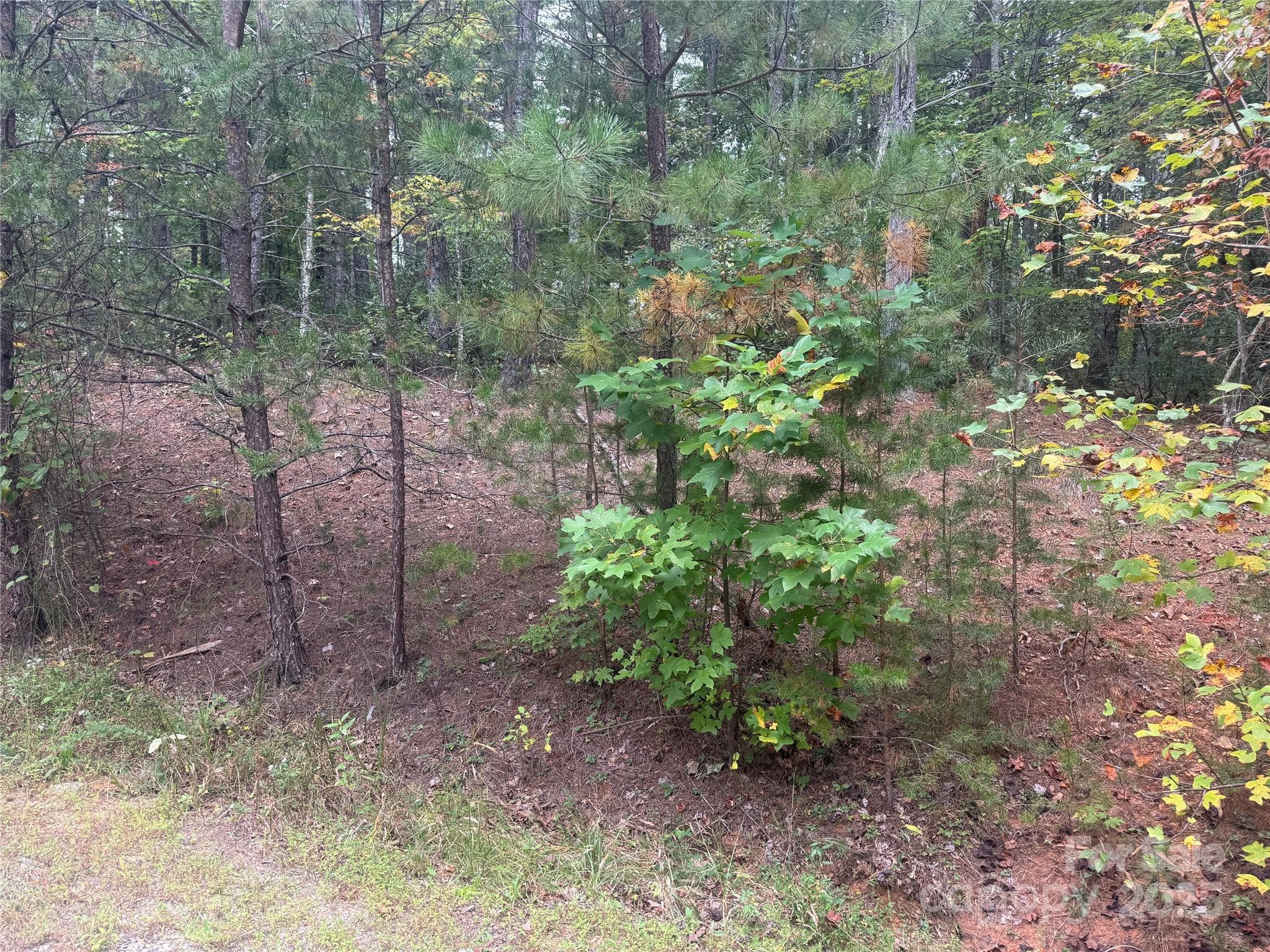 Lot at Nebo, photo 2 of 16