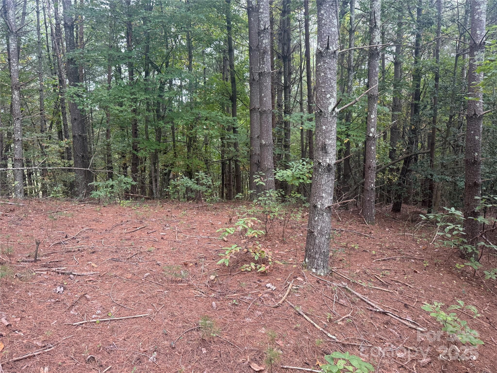 Lot at Nebo, photo 3 of 16