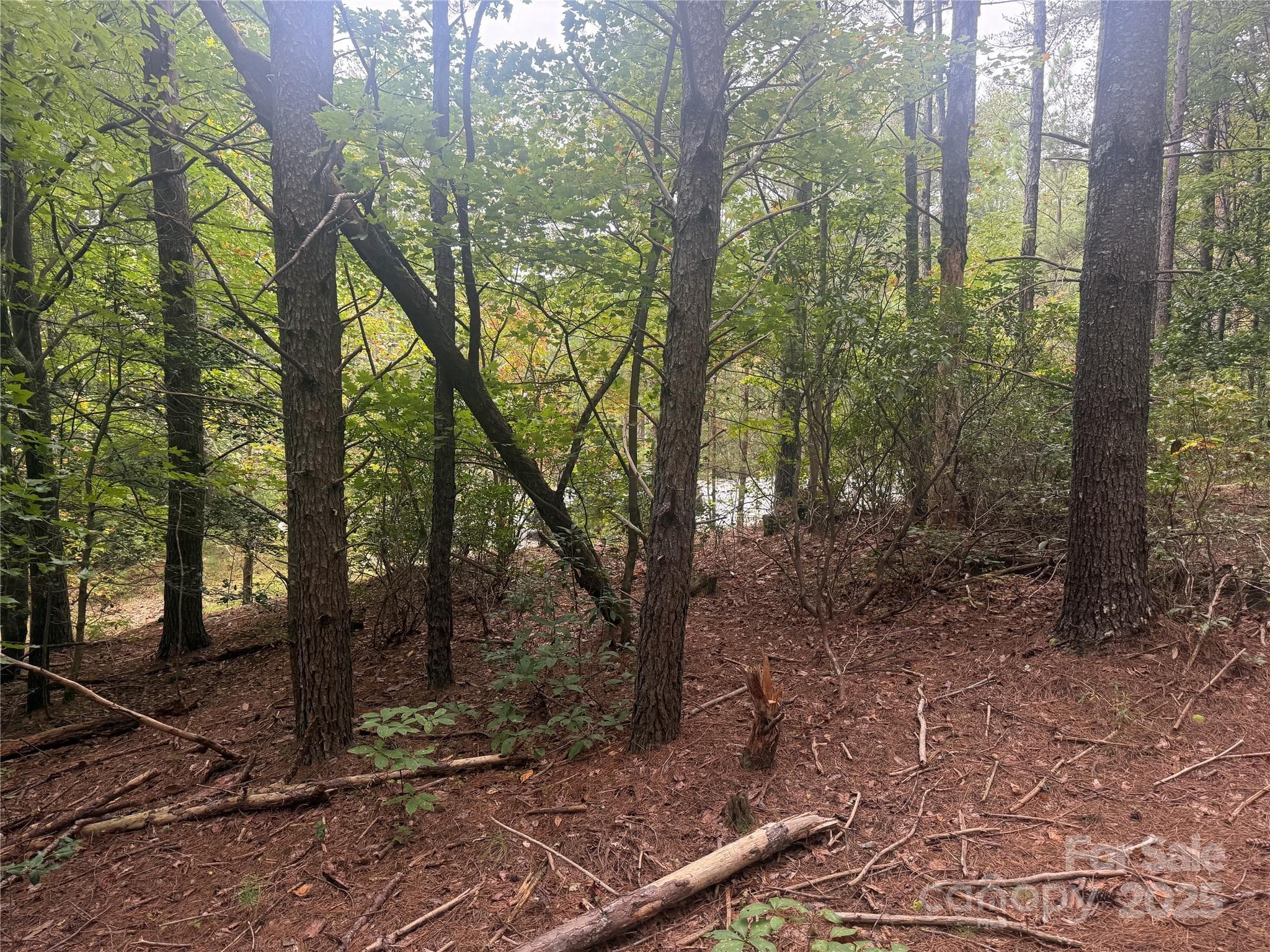 Lot at Nebo, photo 5 of 16
