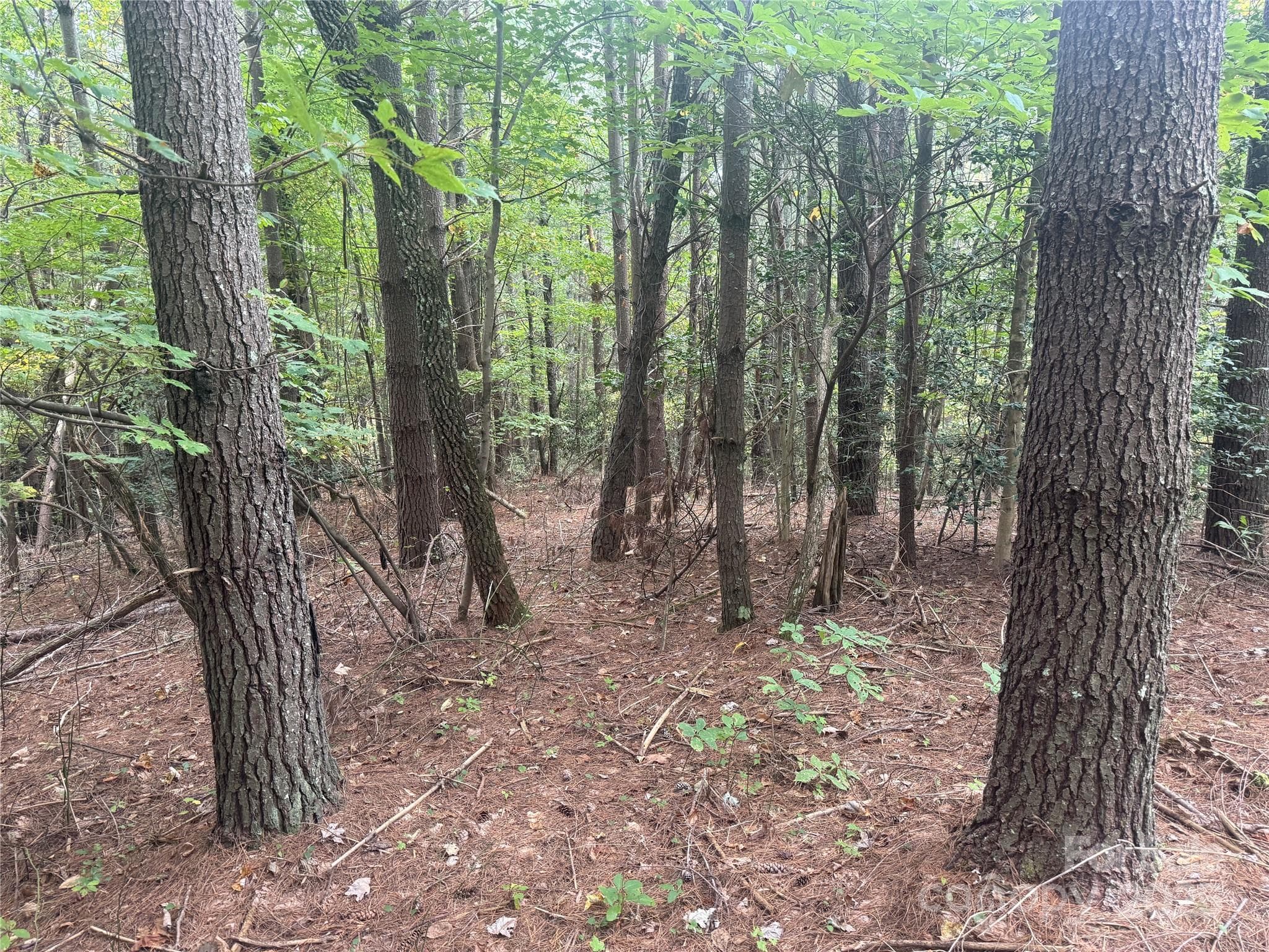 Lot at Nebo, photo 6 of 16