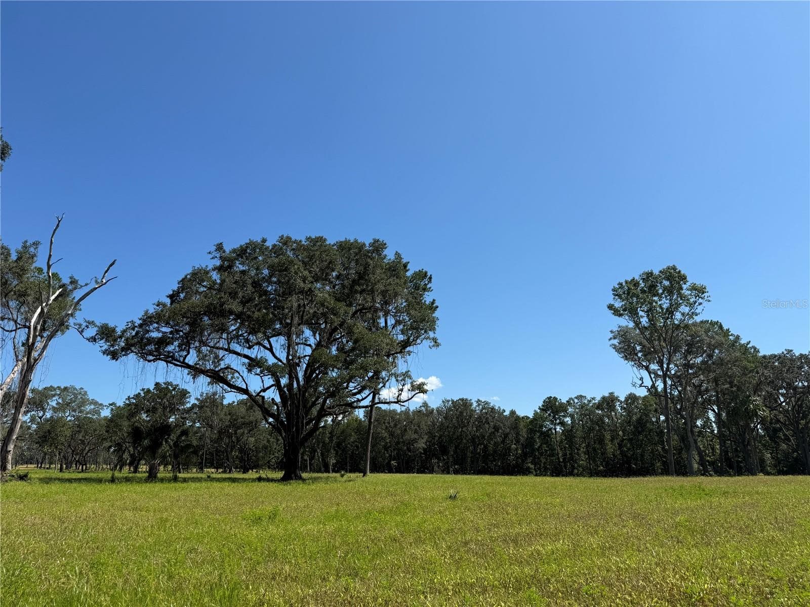 Land at DR #5 (24ac) NW 193RD ST, MICANOPY, photo 3 of 8
