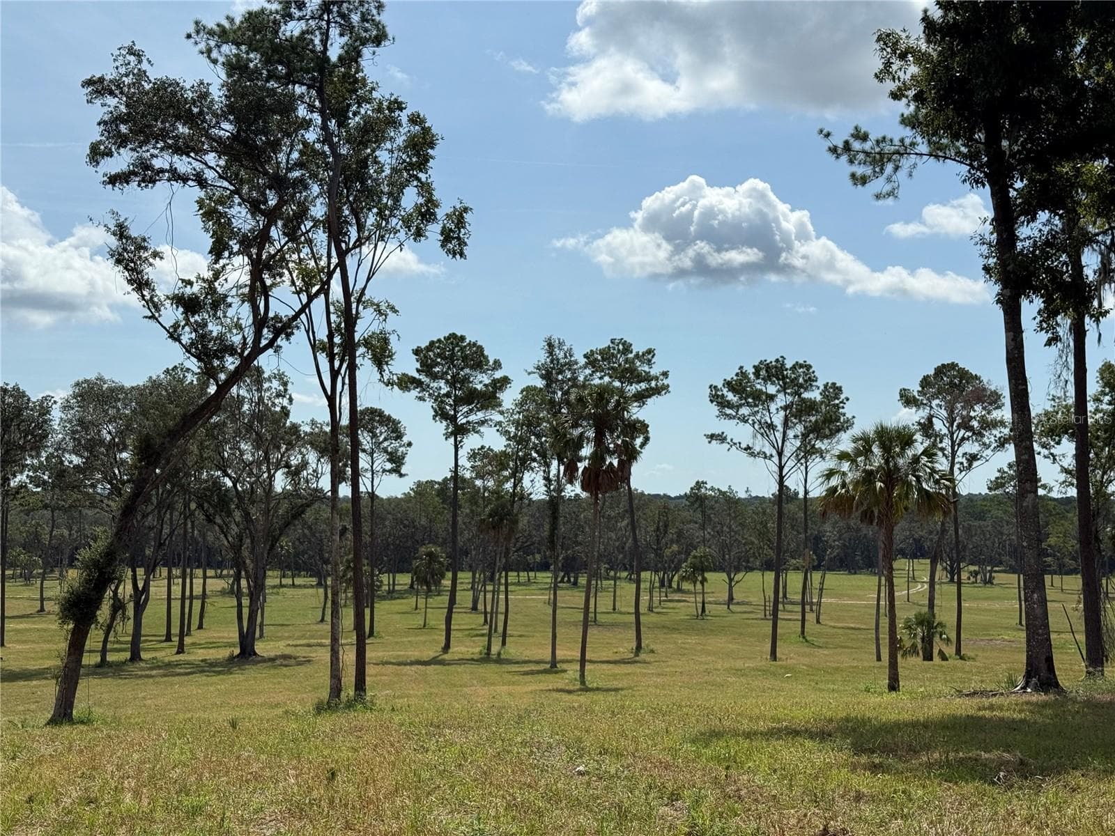 Land at DR #5 (24ac) NW 193RD ST, MICANOPY, photo 7 of 8