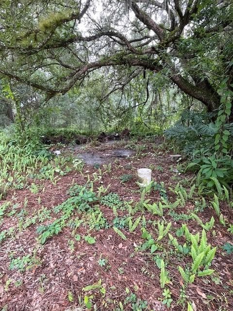 Land at 2900 CLEBURNE RD, ORLANDO, photo 6 of 13