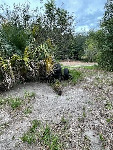 Land at 2904 CLEBURNE RD, ORLANDO, photo 3 of 11