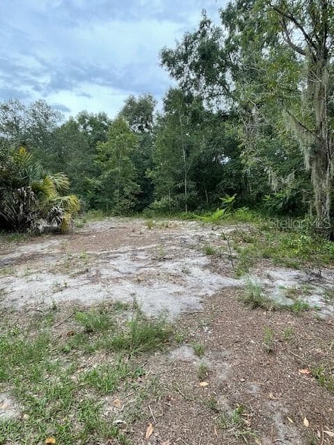 Land at 2904 CLEBURNE RD, ORLANDO, photo 7 of 11