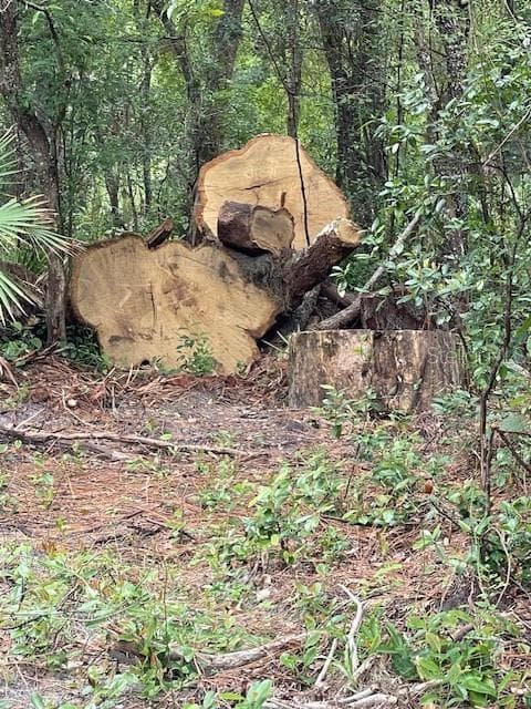 Land at 2850 CLEBURNE RD, ORLANDO, photo 5 of 13