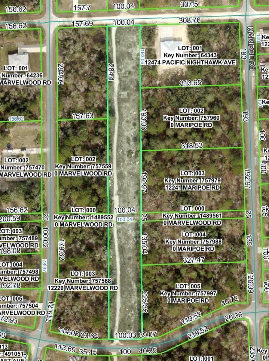 PACIFIC NIGHTHAWK AVE