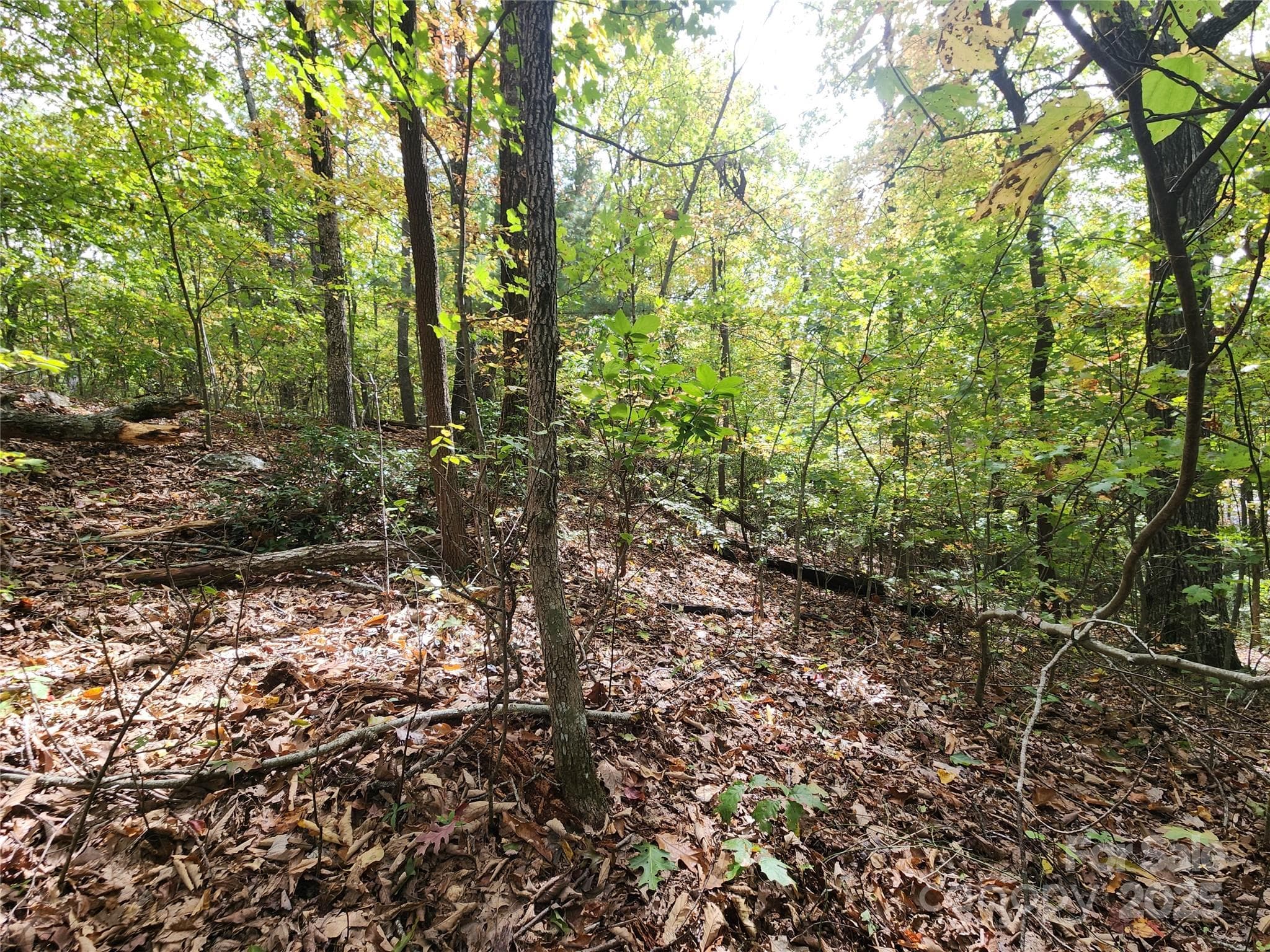 Lot 3 - 99999 N Pointe Drive, Zirconia
