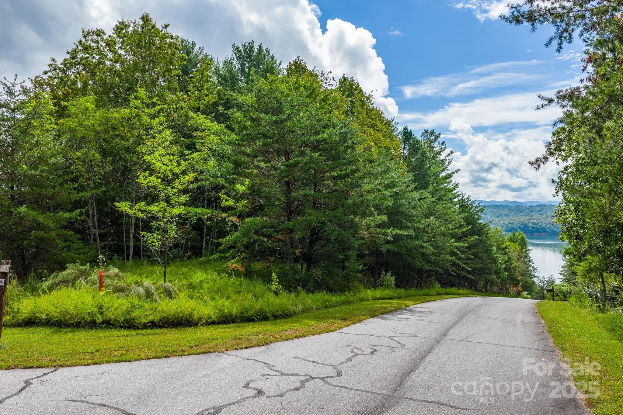 Lot at Nebo, photo 4 of 36