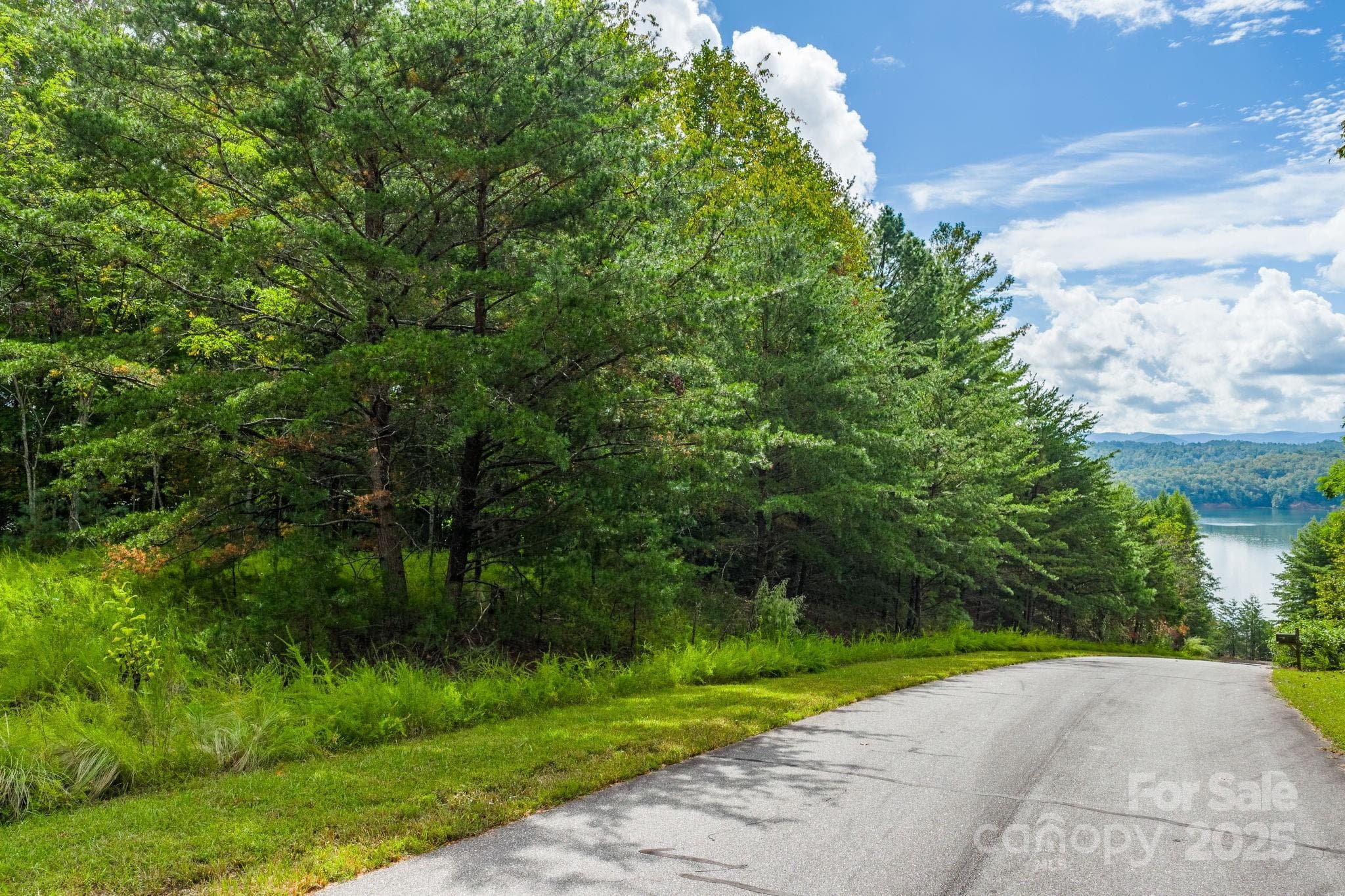 Lot at Nebo, photo 5 of 36