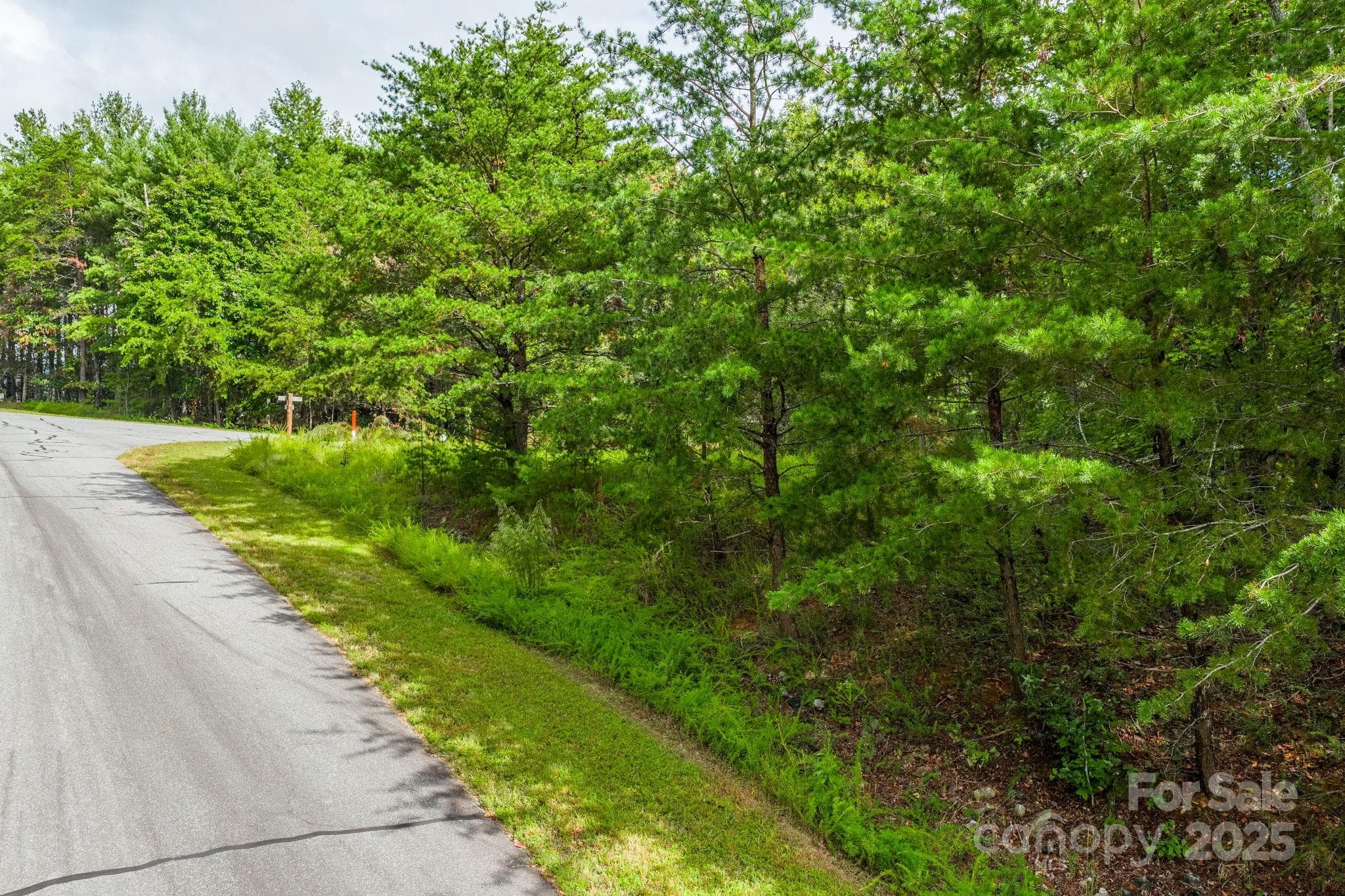 Lot at Nebo, photo 8 of 36