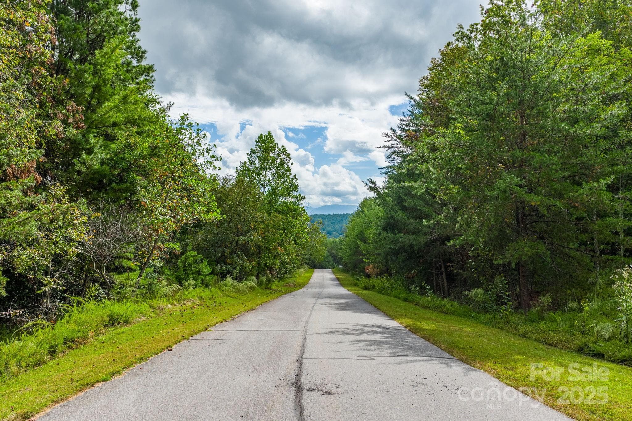 Lot at Nebo, photo 9 of 36