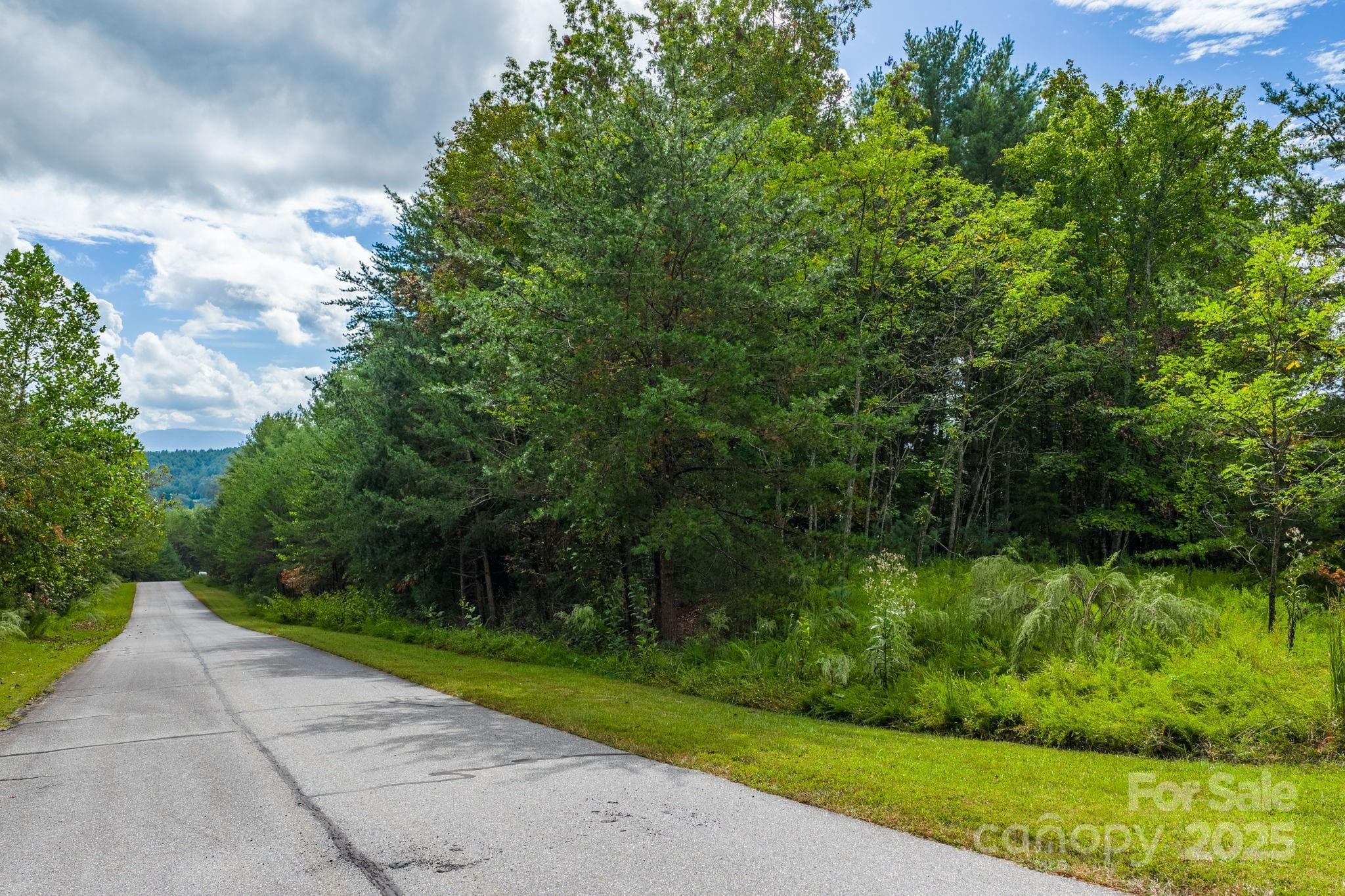 Lot at Nebo, photo 10 of 36