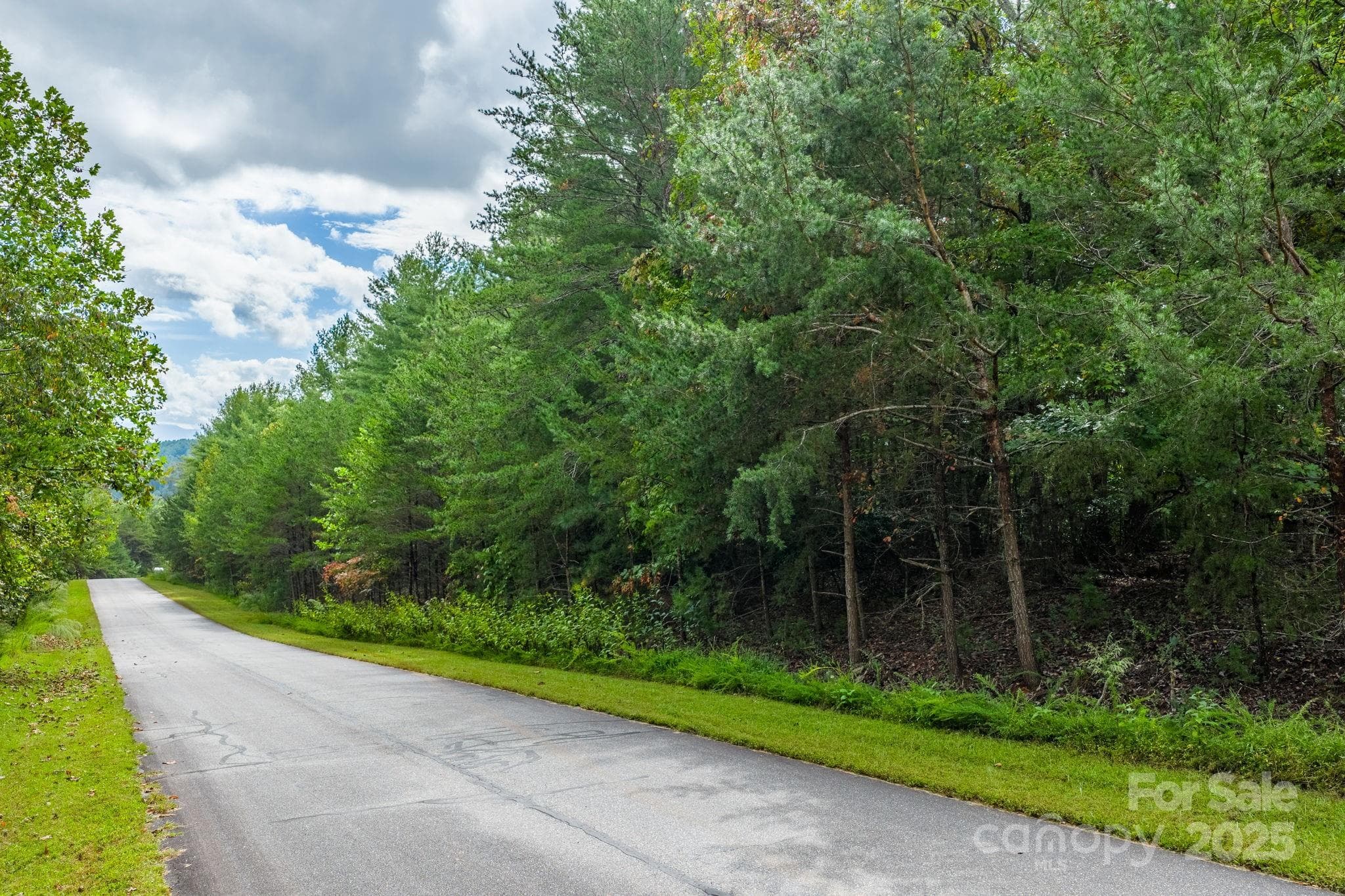 Lot at Nebo, photo 11 of 36