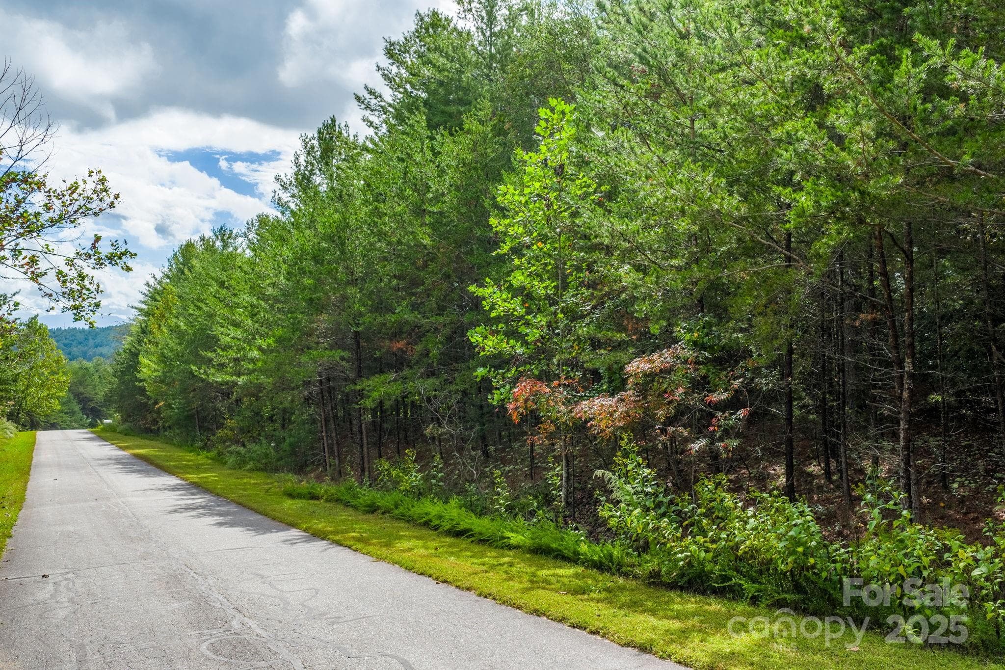 Lot at Nebo, photo 12 of 36