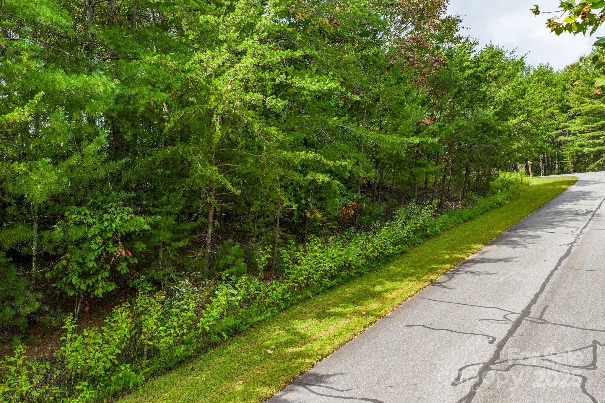Lot at Nebo, photo 14 of 36