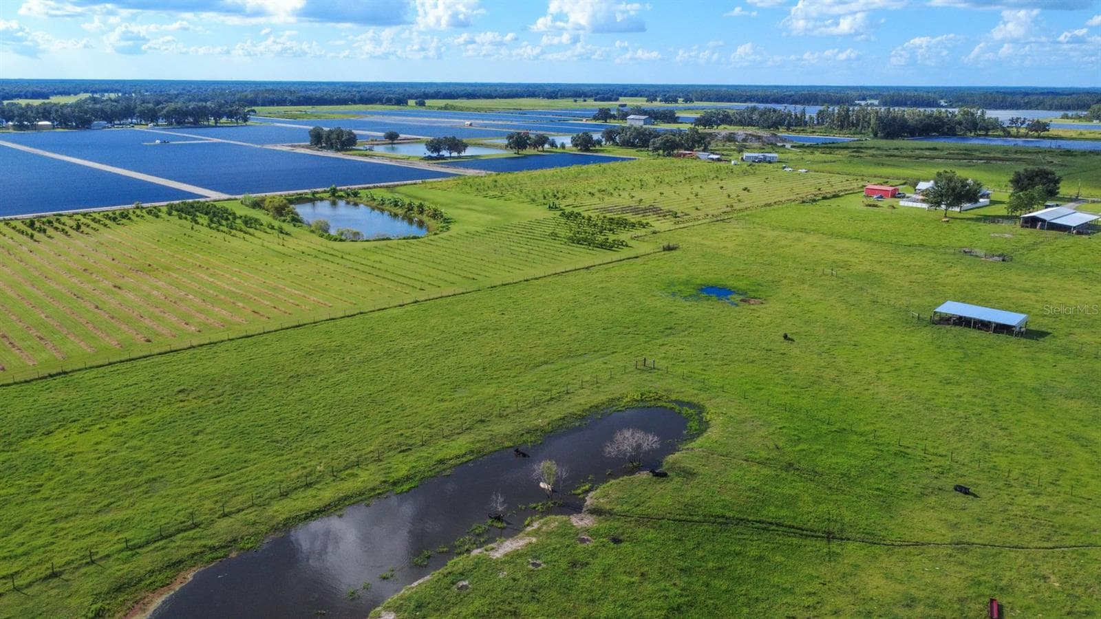Land at BLANTON ACRES RD, PLANT CITY, photo 4 of 24
