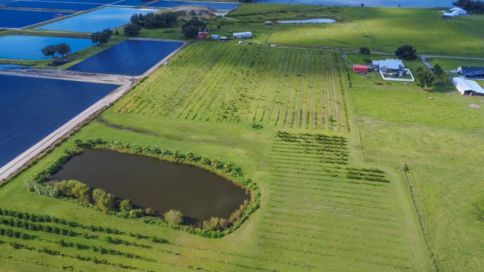Land at BLANTON ACRES RD, PLANT CITY, photo 6 of 24