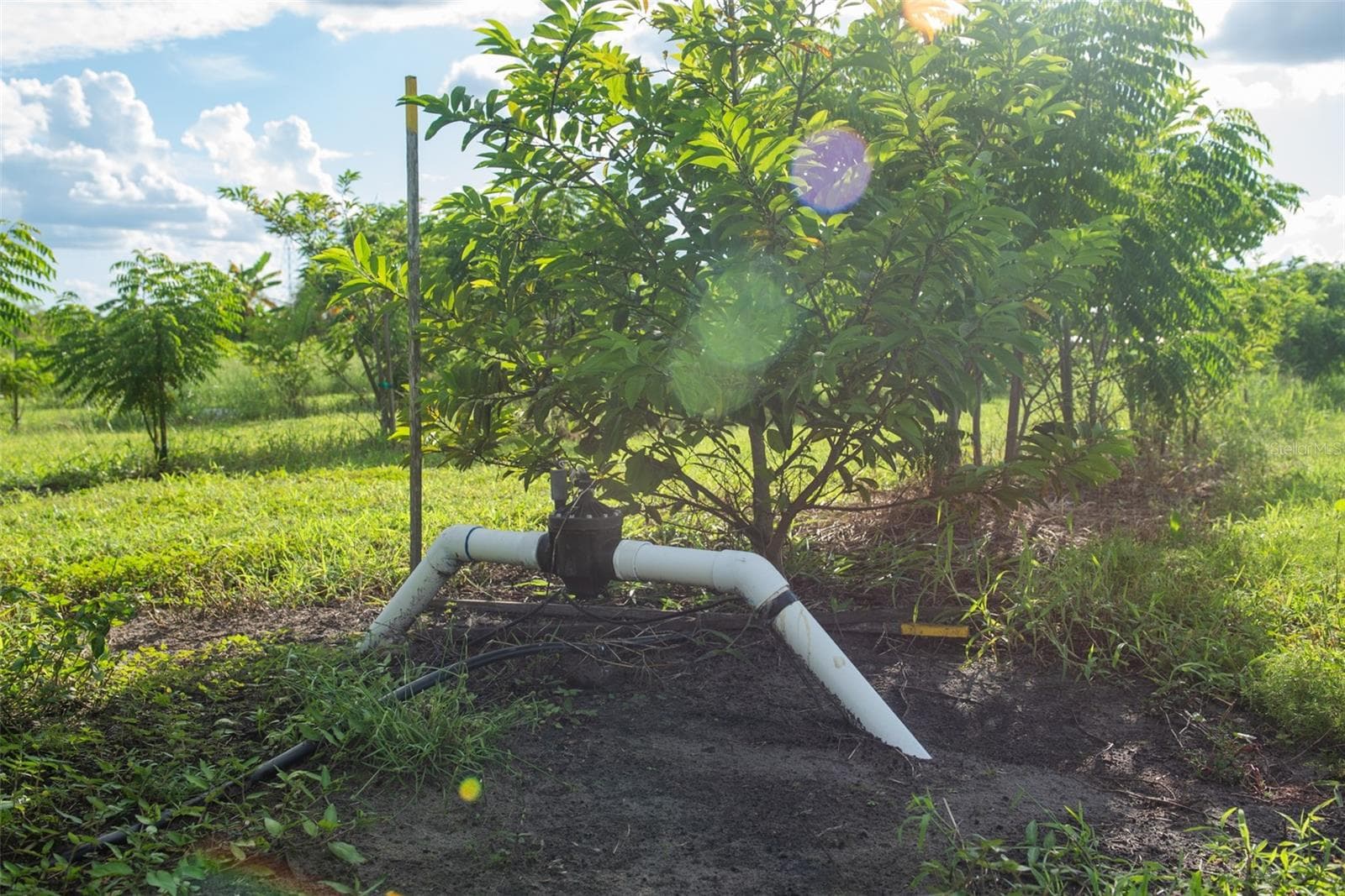 Land at BLANTON ACRES RD, PLANT CITY, photo 8 of 24