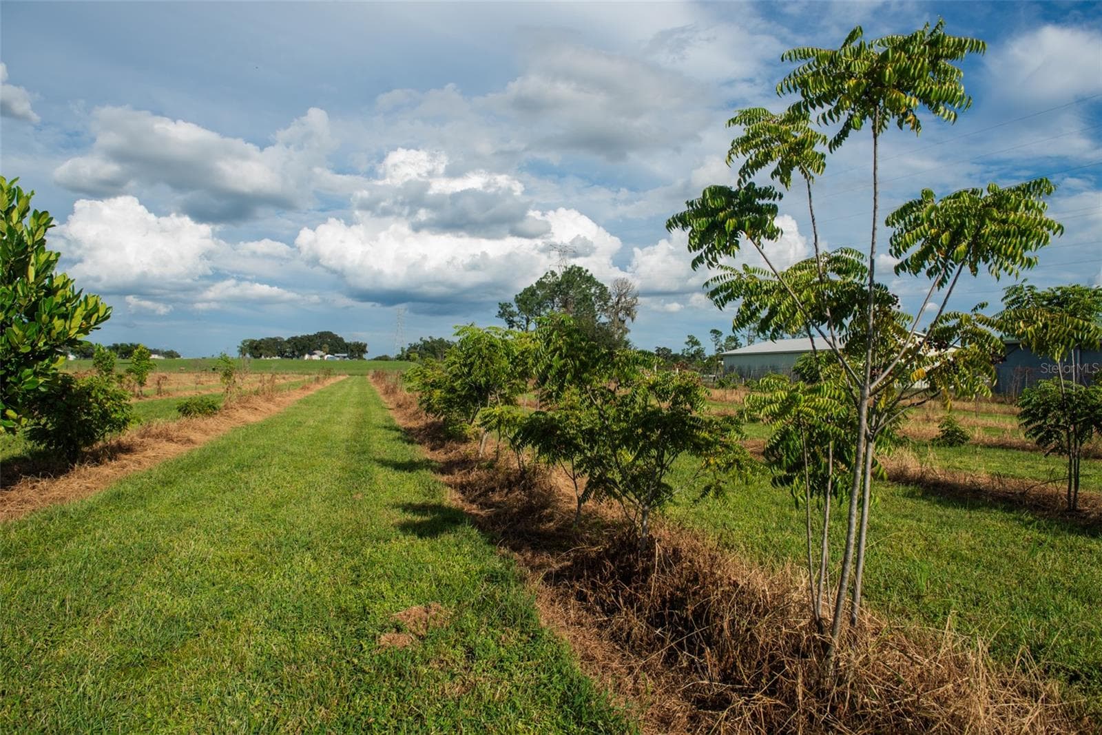 Land at BLANTON ACRES RD, PLANT CITY, photo 15 of 24