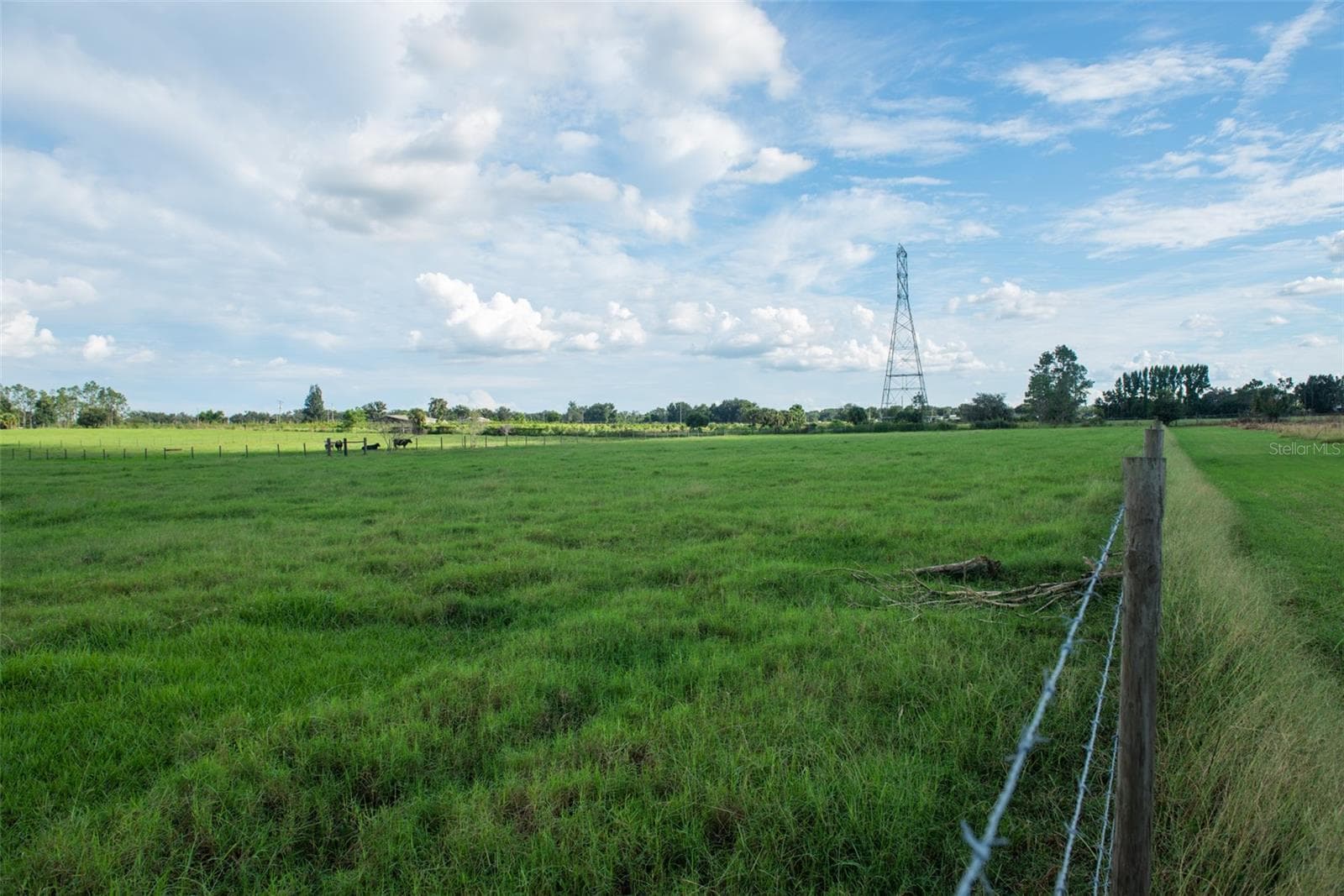 Land at BLANTON ACRES RD, PLANT CITY, photo 16 of 24