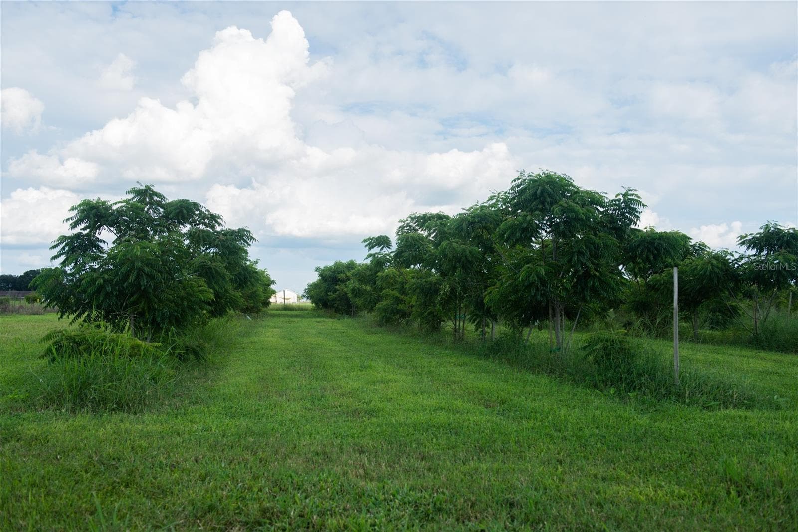 Land at BLANTON ACRES RD, PLANT CITY, photo 17 of 24
