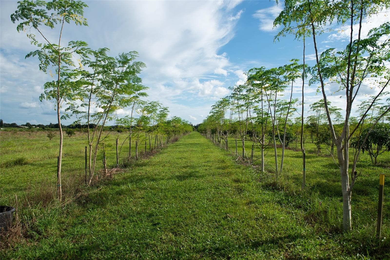 Land at BLANTON ACRES RD, PLANT CITY, photo 21 of 24
