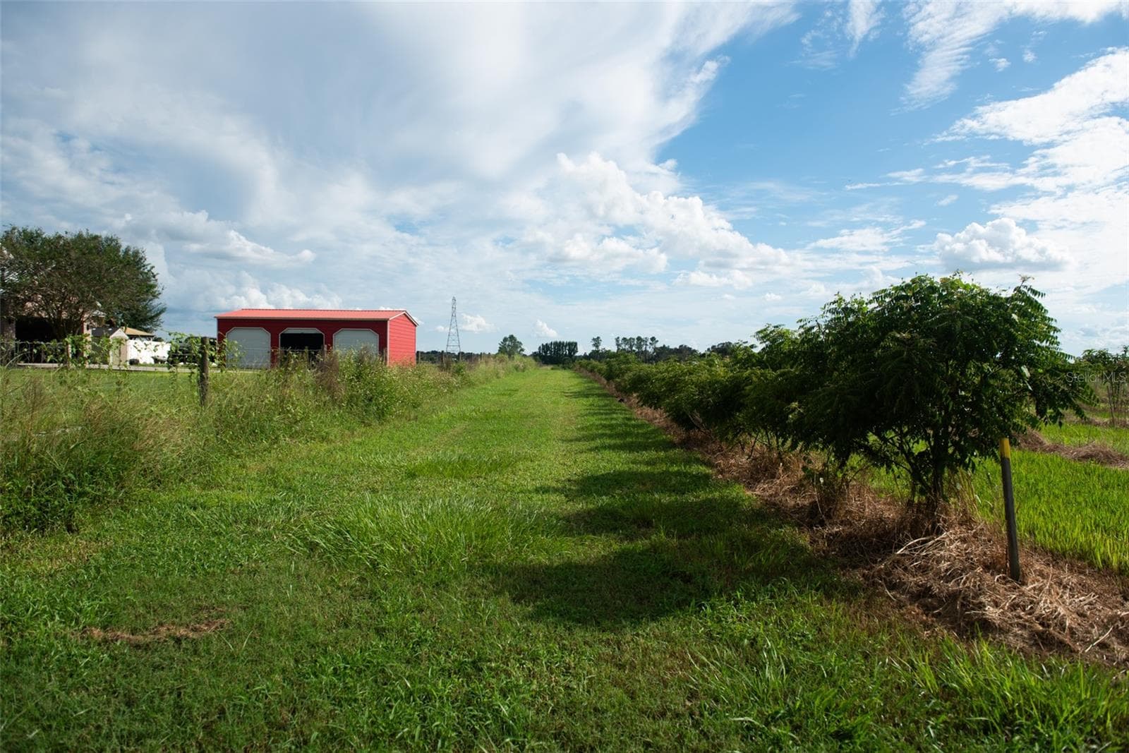Land at BLANTON ACRES RD, PLANT CITY, photo 22 of 24