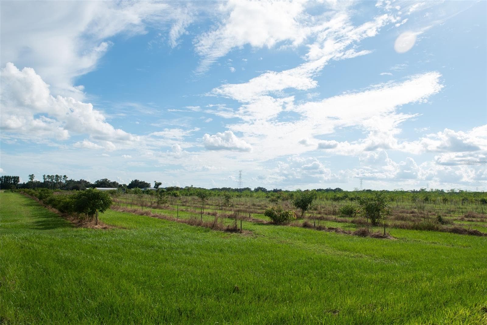 Land at BLANTON ACRES RD, PLANT CITY, photo 23 of 24
