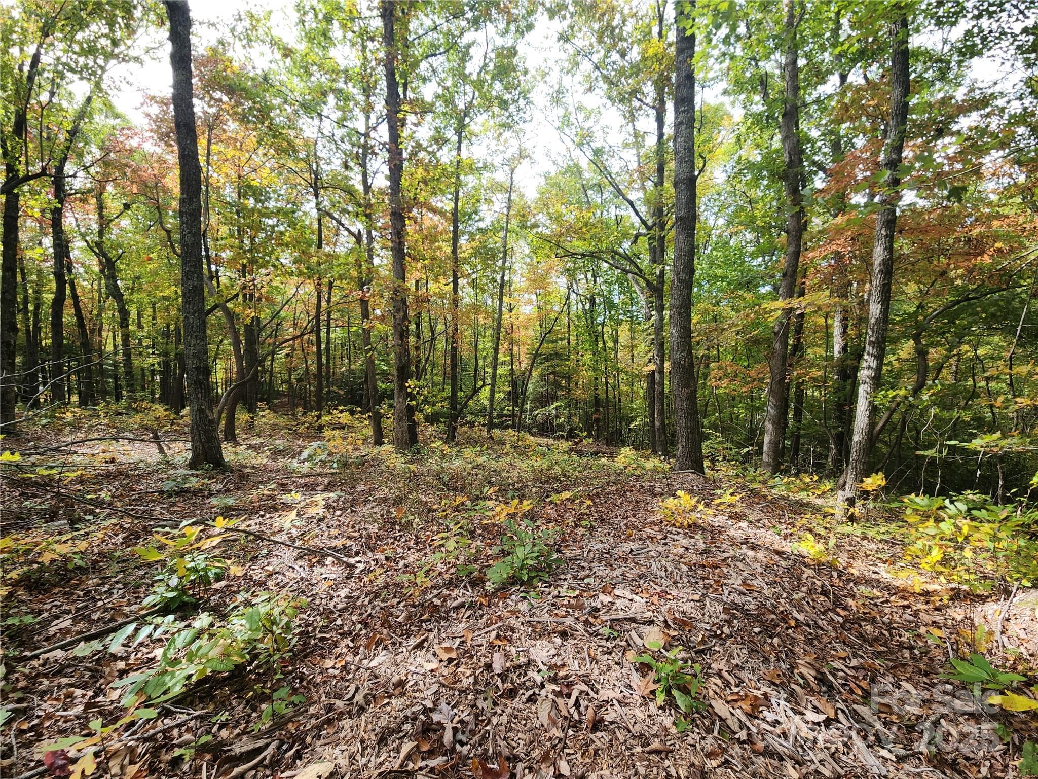 Lot 2 - 99999 N Pointe Drive, Zirconia