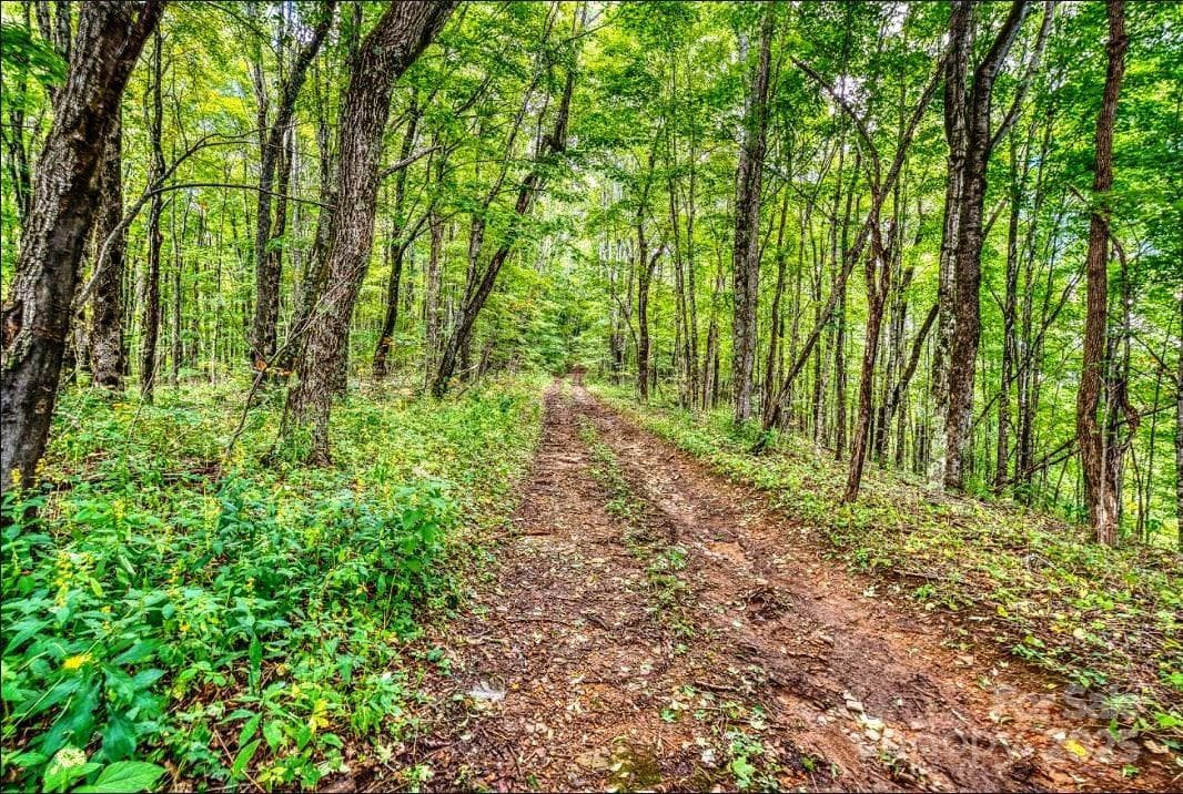 Acreage at 0 Cow Camp Road, Newland, photo 2 of 19